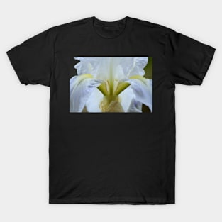 White Iris T-Shirt